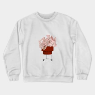 Pink Caladium, potted plant illustration Crewneck Sweatshirt